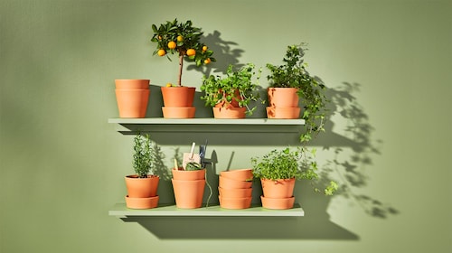 Outdoor plant pots