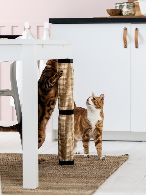 Two brown, black and white cats are next to a dinner table, one is sharpening its claws on a LURVIG scratching mat.