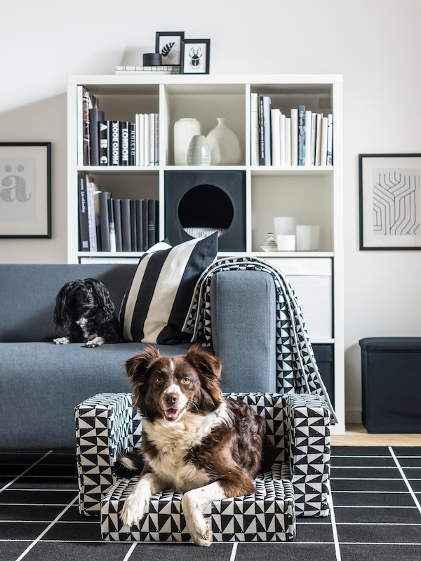 A brown and white dog is laying on a black and white patterned LURVIG dog bed, a smaller dog is sitting on a grey sofa.