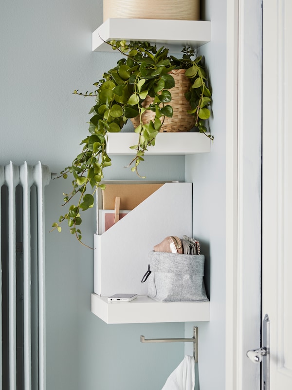 Three LACK white wall shelves with a green trailing plant in a plant pot, a white magazine file and various items on top.
