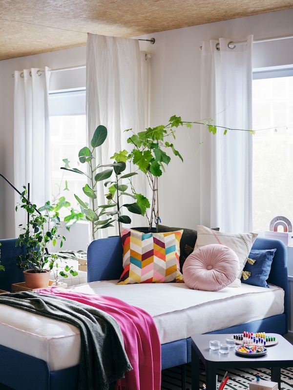 A BLÅKULLEN upholstered bed frame in a living room where curtains hang in the window and across the room as a room divider.