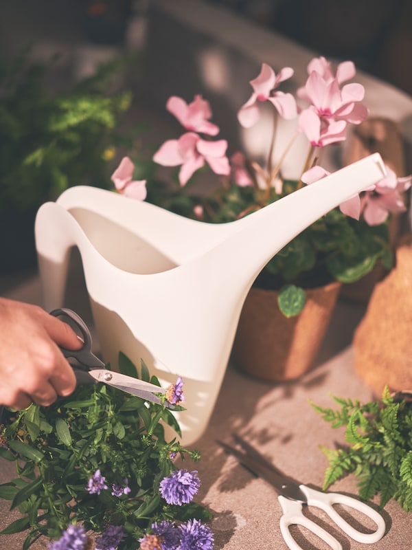 A hand holding MÄRKBART scissors prunes a plant standing next to a white IKEA PS 2002 watering can on a sunlit worktop.