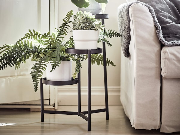 Plants in plant pots in metal stands next to a couch. 