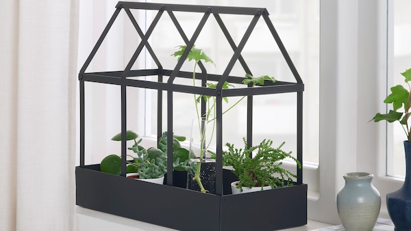 SENAPSKAL green house with small plants