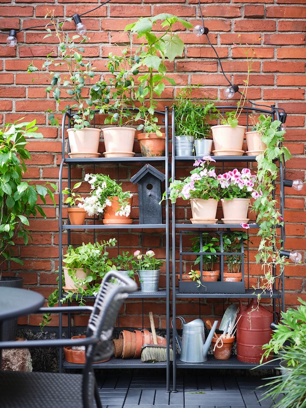 Two LÄCKÖ shelving units side by side against a wall filled with plants in terracotta pots and garden accessories.